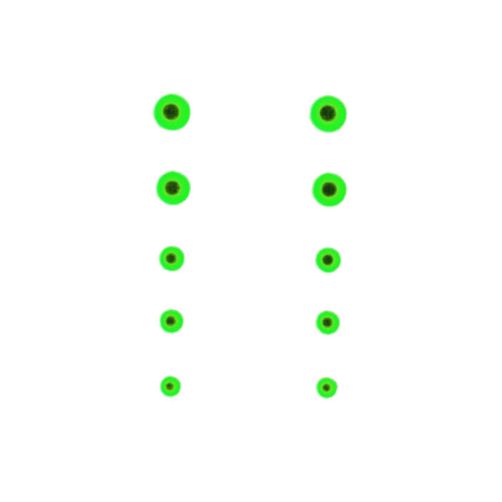 Gunstar Bi-Spectral Dots