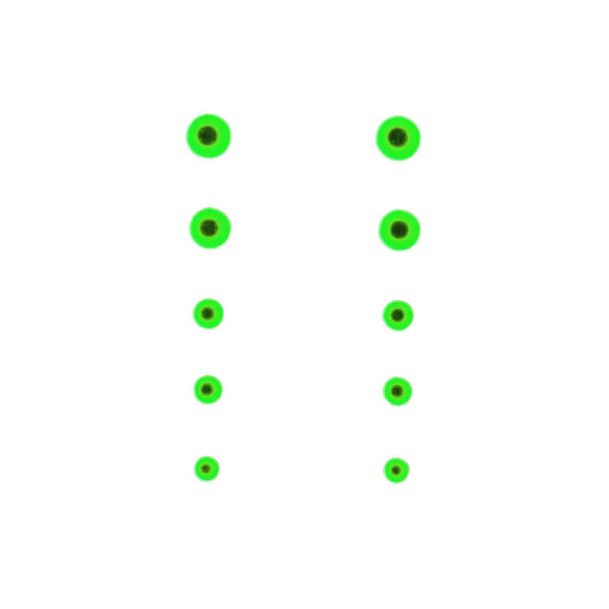 Gunstar Bi-Spectral Dots