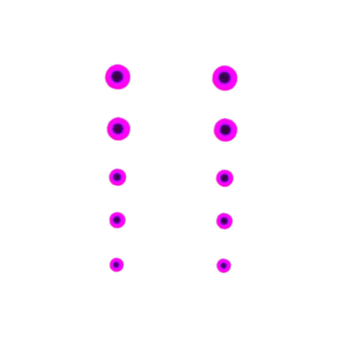 Gunstar Bi-Spectral Dots