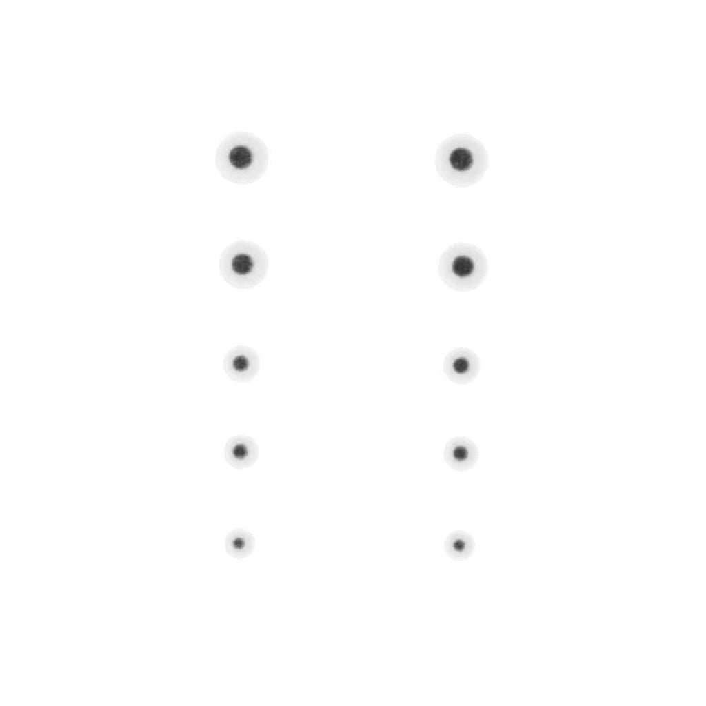 Gunstar Bi-Spectral Dots