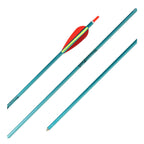 Easton Genesis arrows, Teal