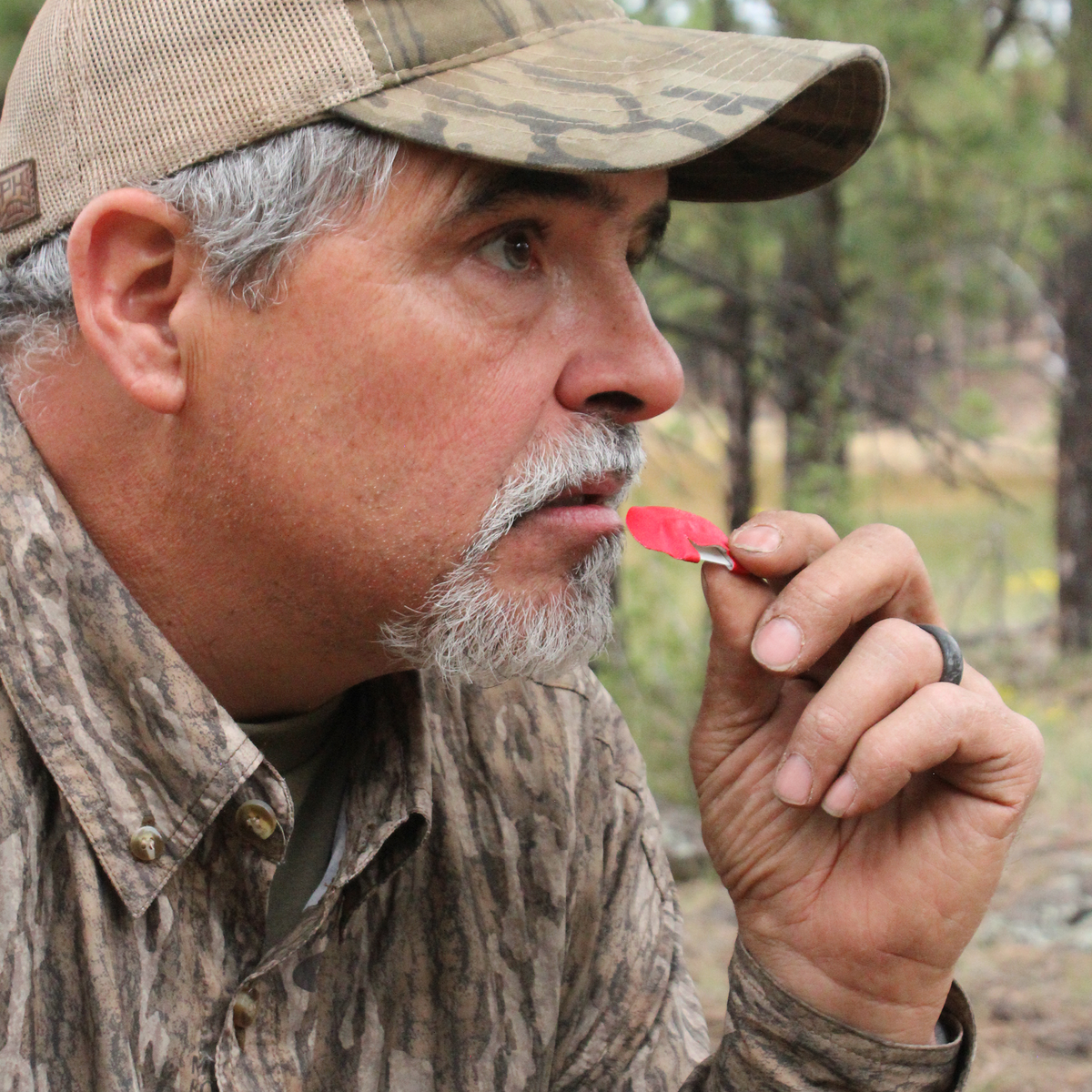 Primos Imperial Plate Double Elk Call in use