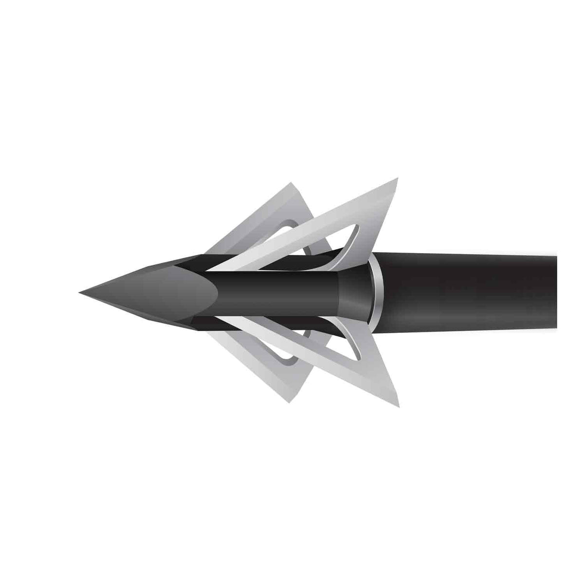 Slick Trick Magnum, four-blade broadhead on arrow shaft