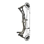 Hoyt Alpha AX-3 29 - America 250