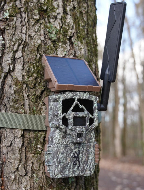 Browning Defender Pro Scout Max HD Solar trail camera, strapped to a tree with the solar panel angled up