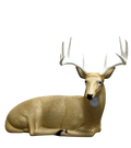 Rinehart Bedded Buck