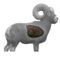 Rinehart Big Horn Sheep Insert
