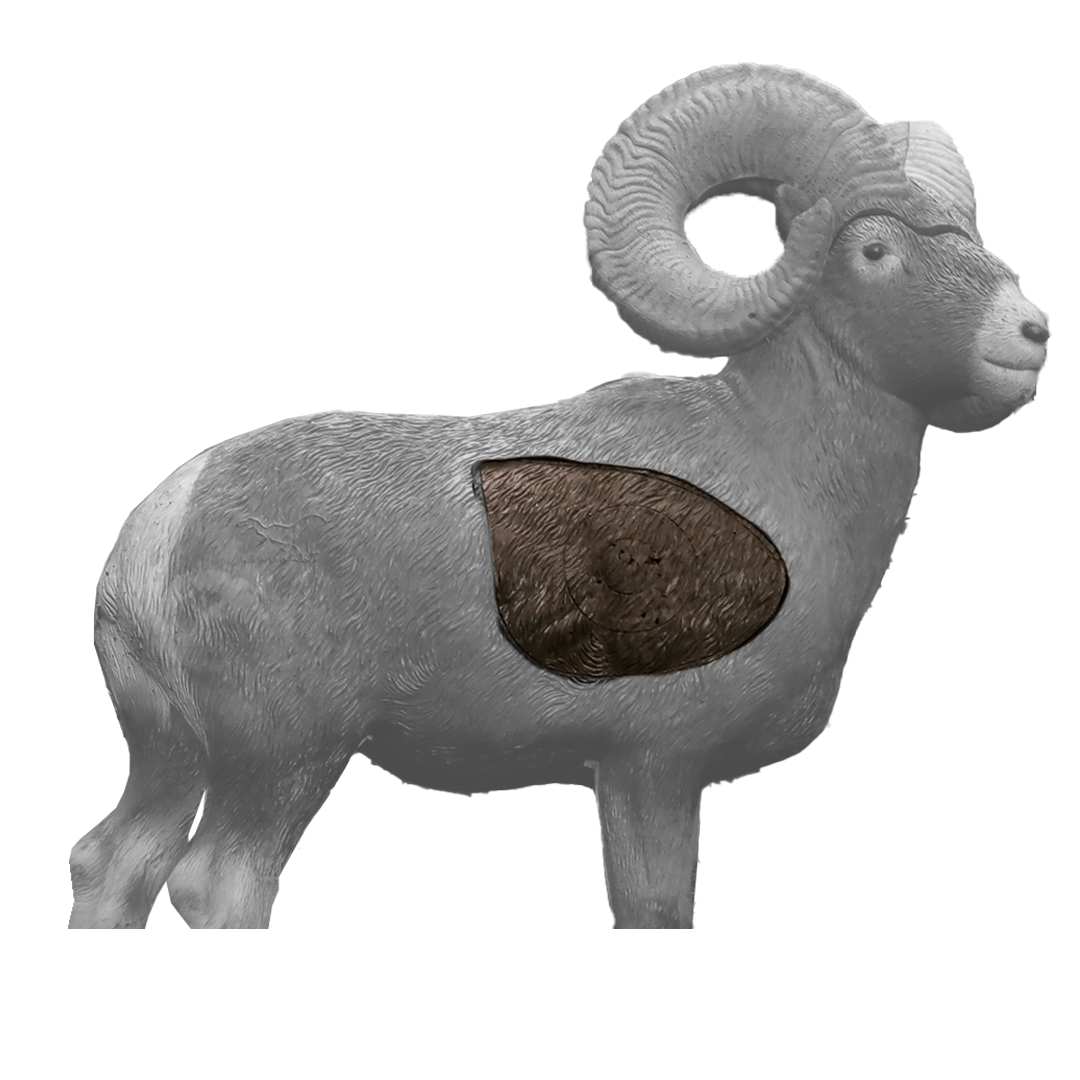 Rinehart Big Horn Sheep Insert