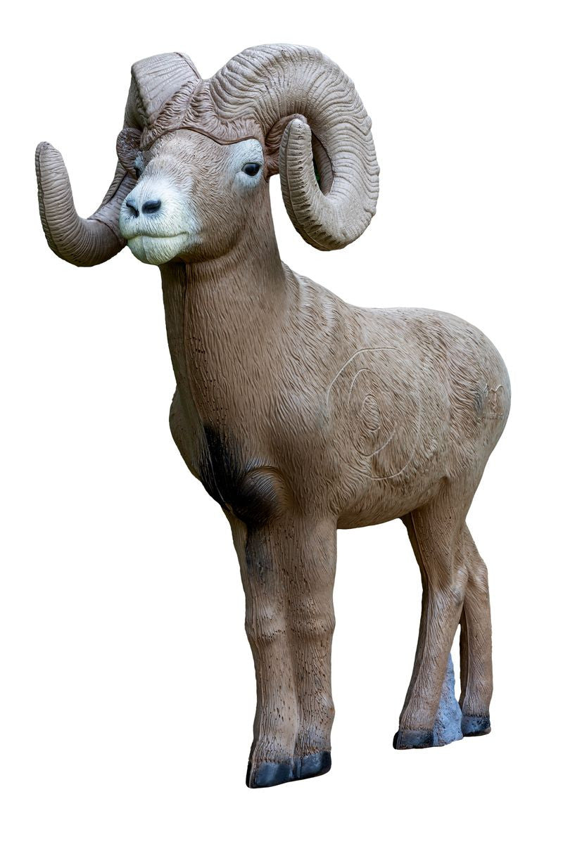 Rinehart Signature 1/2 Scale Bighorn Ram