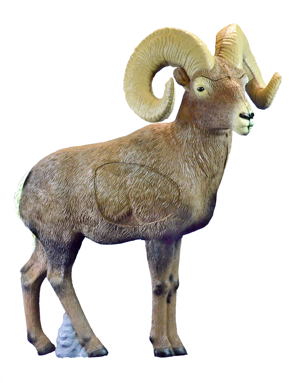 Rinehart Bighorn Sheep