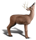 Rinehart Browsing Buck