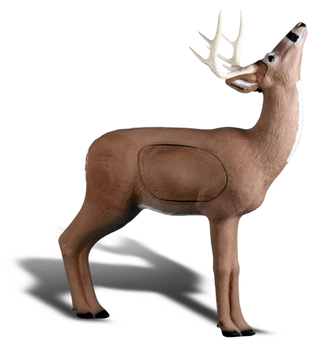 Rinehart Browsing Buck