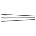 Excalibur FIREBOLT 20" ILLUMINATED CARBON ARROWS - 3 PACK