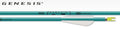 Easton Genesis arrow, teal shaft with white vanes