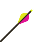 Gold Tip Force F.O.C. Arrow .246, vane and nock close-up