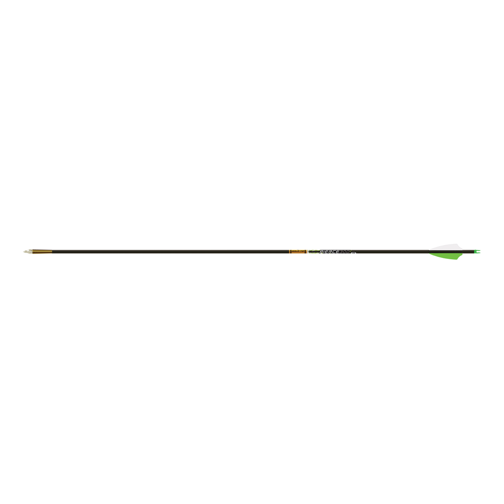 Gold Tip Pierce .166 full carbon arrow with Fusion X vanes and GTO nock