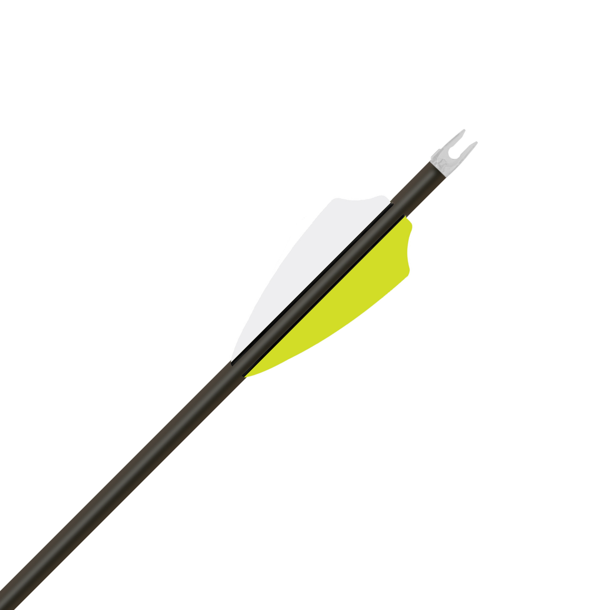 Gold Tip Pierce LRT arrow, fletching and clear GTO nock detail