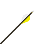 Gold Tip Velocity Pro Arrows .246, 2" Rapt-X vane and GT nock close-up