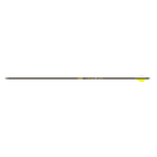 Gold Tip Velocity Pro Arrows .246, full-length carbon arrow, spine 400