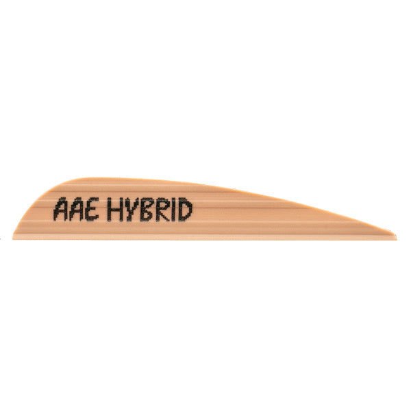 AAE Hybrid – 23, view 10