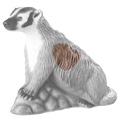 Rinehart Badger Insert