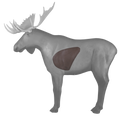 Rinehart Moose Insert