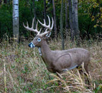 Rinehart Signature Jimmy Big Tine, view 2