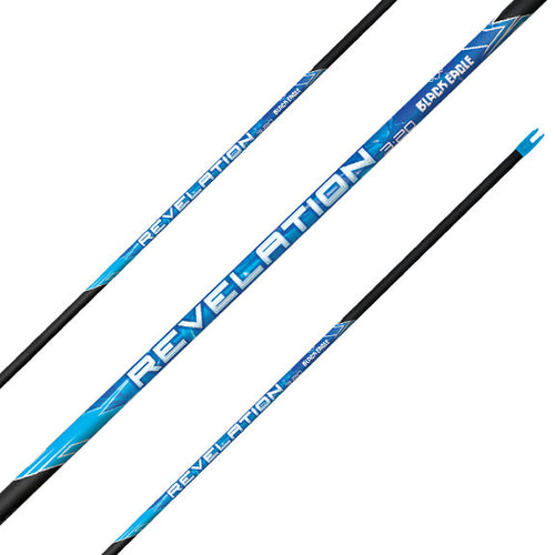 Black Eagle Revelation 3:20 micro-diameter target shaft