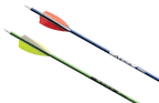 Victory Ares youth carbon arrow