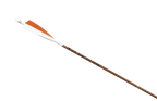 Victory Bamboo Trad, feather-fletched carbon arrow on white