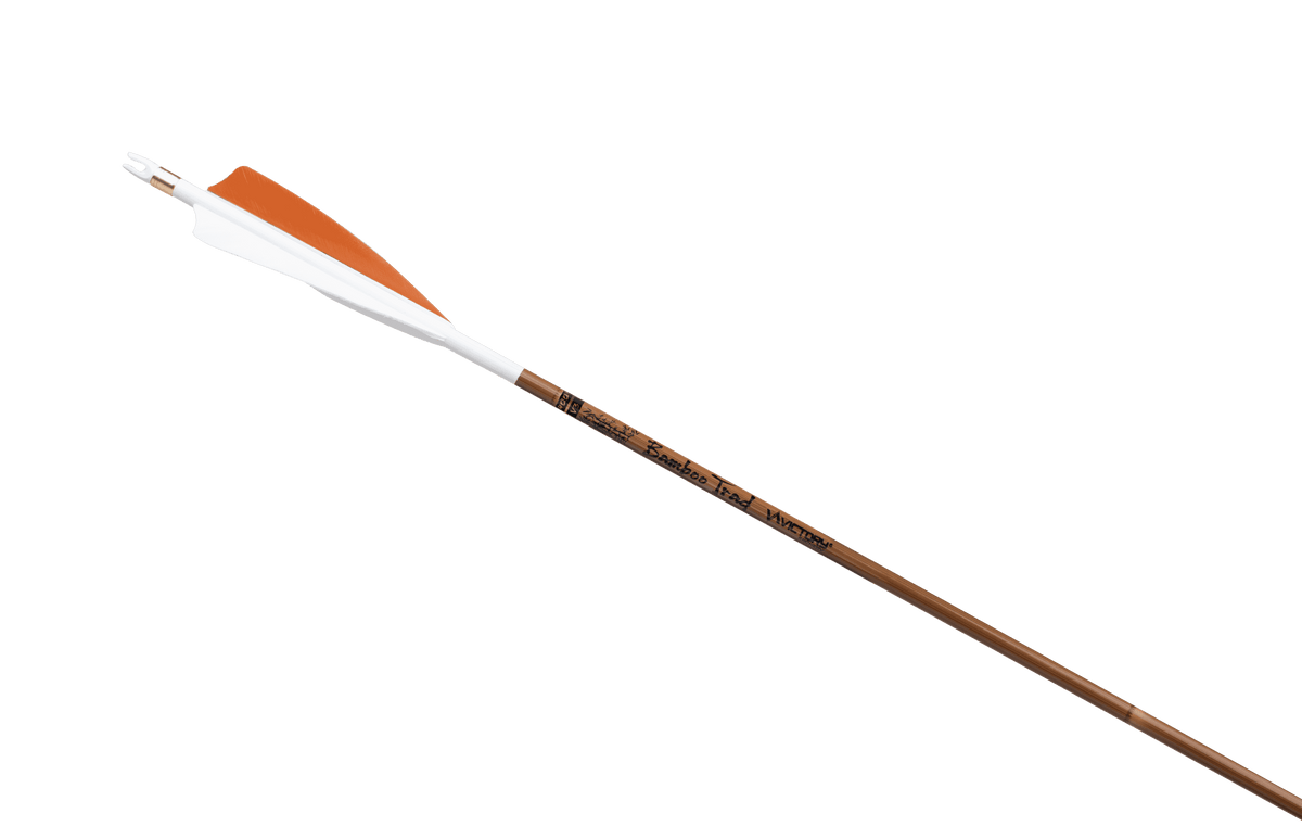 Victory Bamboo Trad, feather-fletched carbon arrow on white