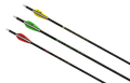 Victory TKX-Bolt, three fletched crossbow bolts