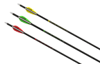 Victory TKX-Bolt, three fletched crossbow bolts