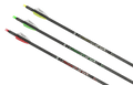 Victory V-TAC 27, three carbon target shafts with 220 spine markings