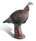 Rinehart Alert Turkey