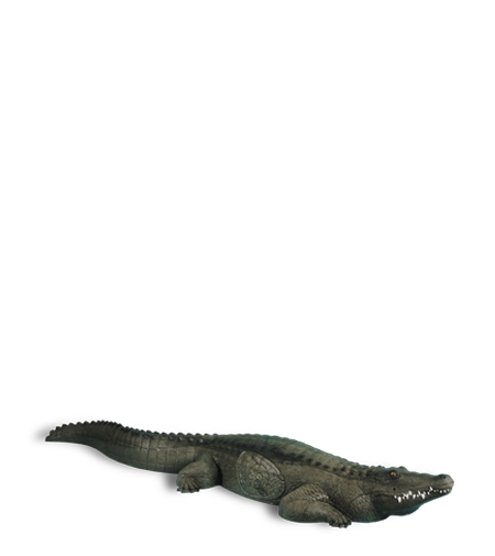 Rinehart Alligator