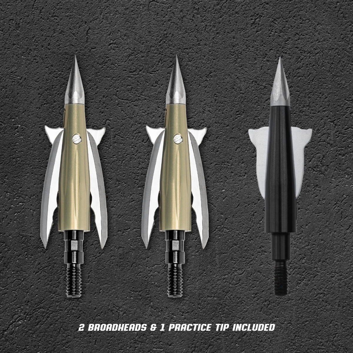Beast Aluminum Broadheads 2 Pack with practice tip, 100 grain, 2.0 in cut