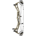 Hoyt Alpha AX-3 33 - Sandstorm with matching limbs