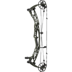 Hoyt Alpha AX-3 33 - Wilderness with matching limbs