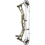 Hoyt Alpha AX-3 33 LD - Sandstorm with matching limbs