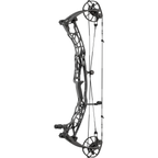 Hoyt Alpha AX-3 33 LD - Tombstone with matching limbs