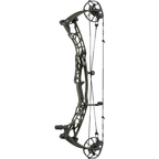Hoyt Alpha AX-3 33 LD - Wilderness with matching limbs