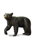 Rinehart Large Black Bear