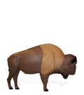 Rinehart Buffalo