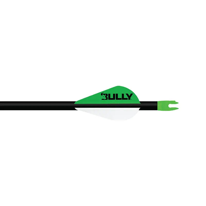 Easton Bully Vanes fletched on an arrow
