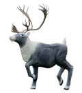 Rinehart Caribou