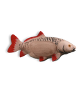 Rinehart Carp