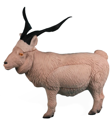 Rinehart Catalina Goat