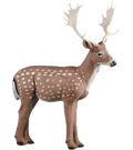 Rinehart Fallow Deer