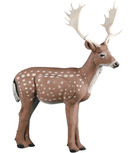 Rinehart Fallow Deer